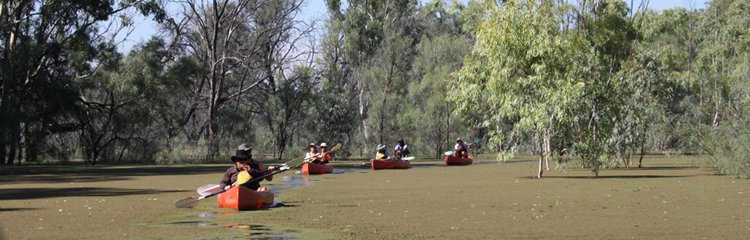 canoeing on the backwaters